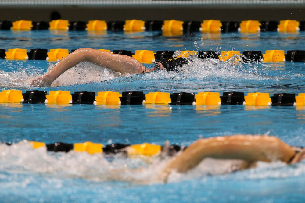 Iowa’s Allyssa Fluit during Iowa swim and dive vs Minnesota on Saturday, October 26, 2019 at the Campus Wellness and Recreation Center. (Lily Smith/hawkeyesports.com)