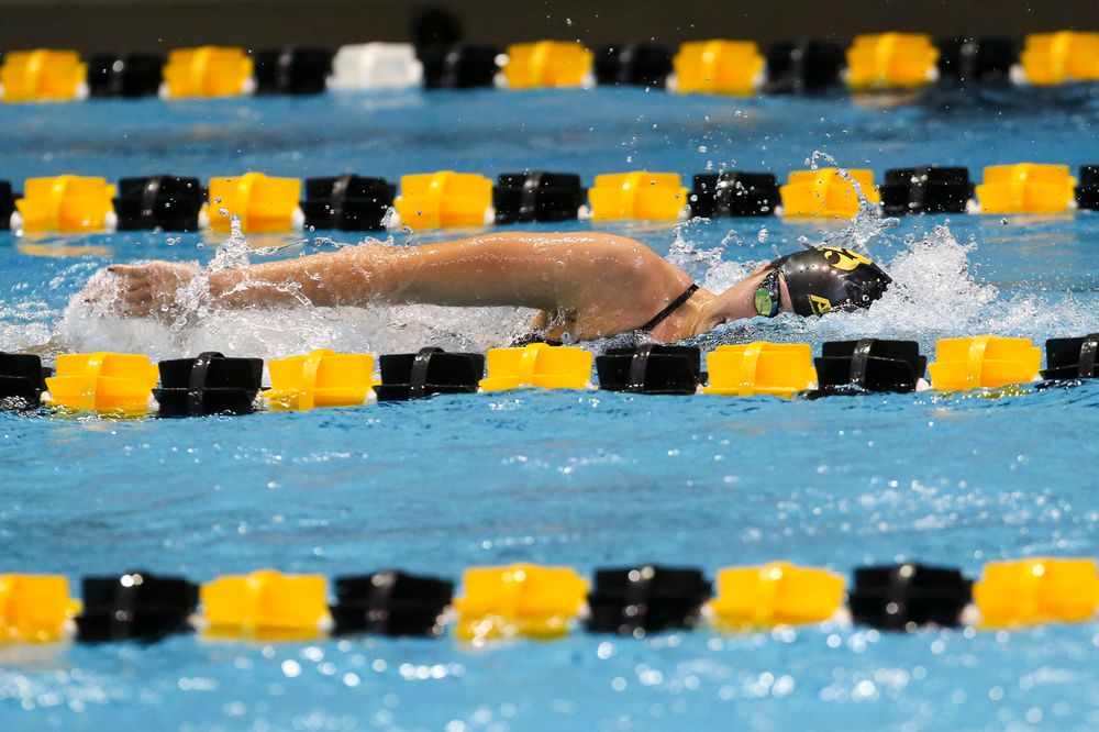 Iowa’s Helen Blumenau during Iowa swim and dive vs Minnesota on Saturday, October 26, 2019 at the Campus Wellness and Recreation Center. (Lily Smith/hawkeyesports.com)