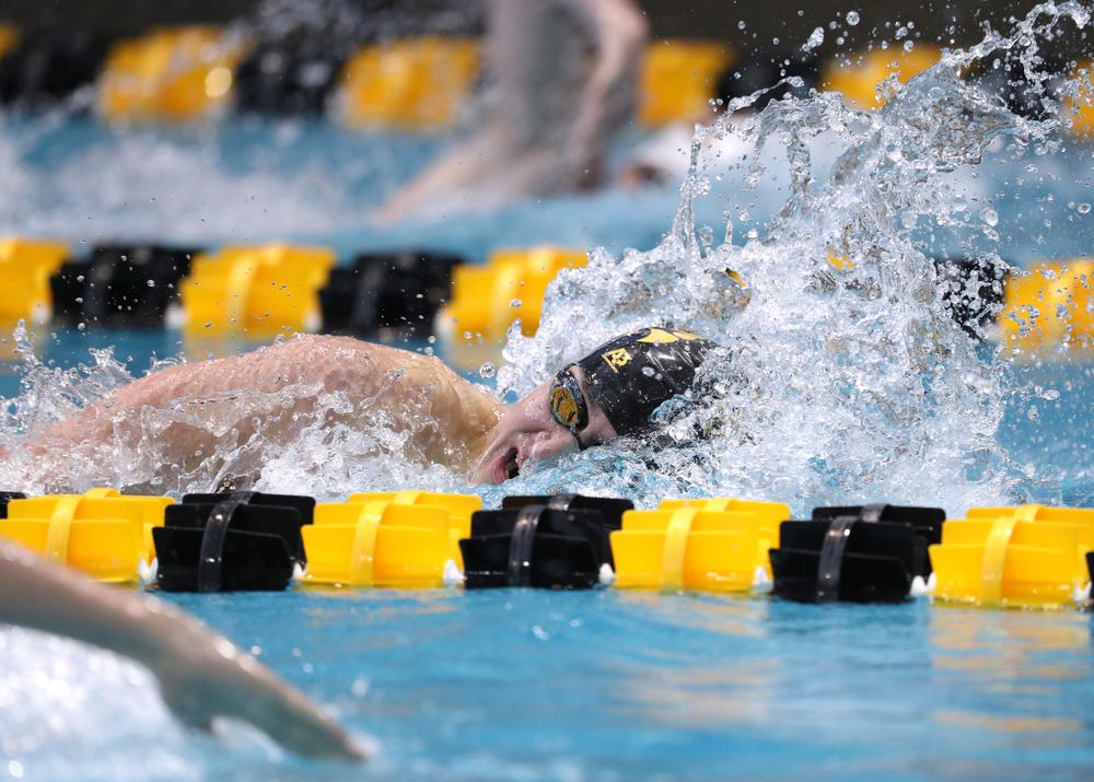 Iowa's Michael Tenney swims in the preliminaries of the 500-yard freestyle during the 2019 Big Ten Swimming and Diving Championships Thursday, February 28, 2019 at the Campus Wellness and Recreation Center. (Brian Ray/hawkeyesports.com)