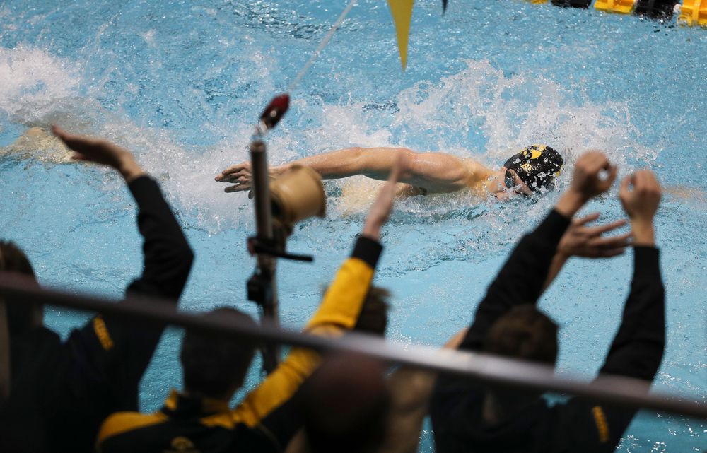 Iowa's Jackson Allmon competes in the 200-yard freestyle during the third day of the Hawkeye Invitational at the Campus Recreation and Wellness Center on November 16, 2018. (Tork Mason/hawkeyesports.com)