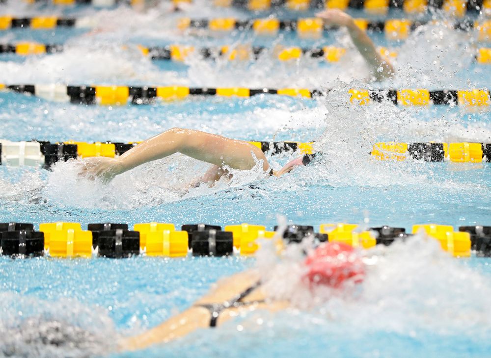 Iowa’s Hannah Burvill swims in the women’s 100 yard freestyle preliminary event during the 2020 Women’s Big Ten Swimming and Diving Championships at the Campus Recreation and Wellness Center in Iowa City on Saturday, February 22, 2020. (Stephen Mally/hawkeyesports.com)