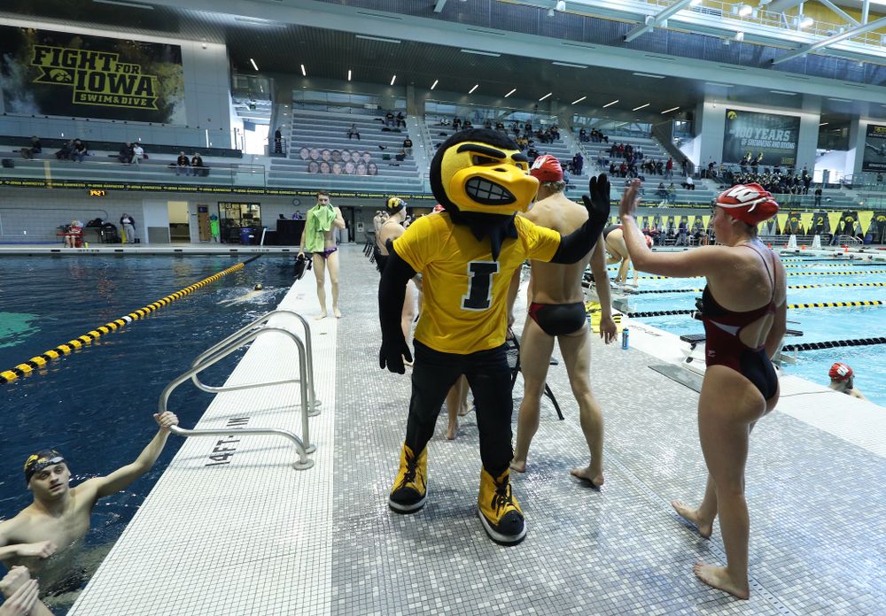 Herky the Hawk during a double dual against Wisconsin and Northwestern Saturday, January 19, 2019 at the Campus Recreation and Wellness Center. (Brian Ray/hawkeyesports.com)