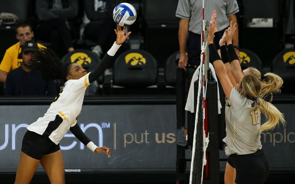 Iowa Hawkeyes outside hitter Taylor Louis (16) sets the ball over the net during a game against Purdue at Carver-Hawkeye Arena on October 13, 2018. (Tork Mason/hawkeyesports.com)