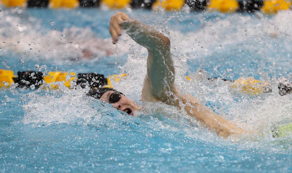 Iowa's Ben Colin competes in the 100-yard freestyle during the third day of the Hawkeye Invitational at the Campus Recreation and Wellness Center on November 17, 2018. (Tork Mason/hawkeyesports.com)