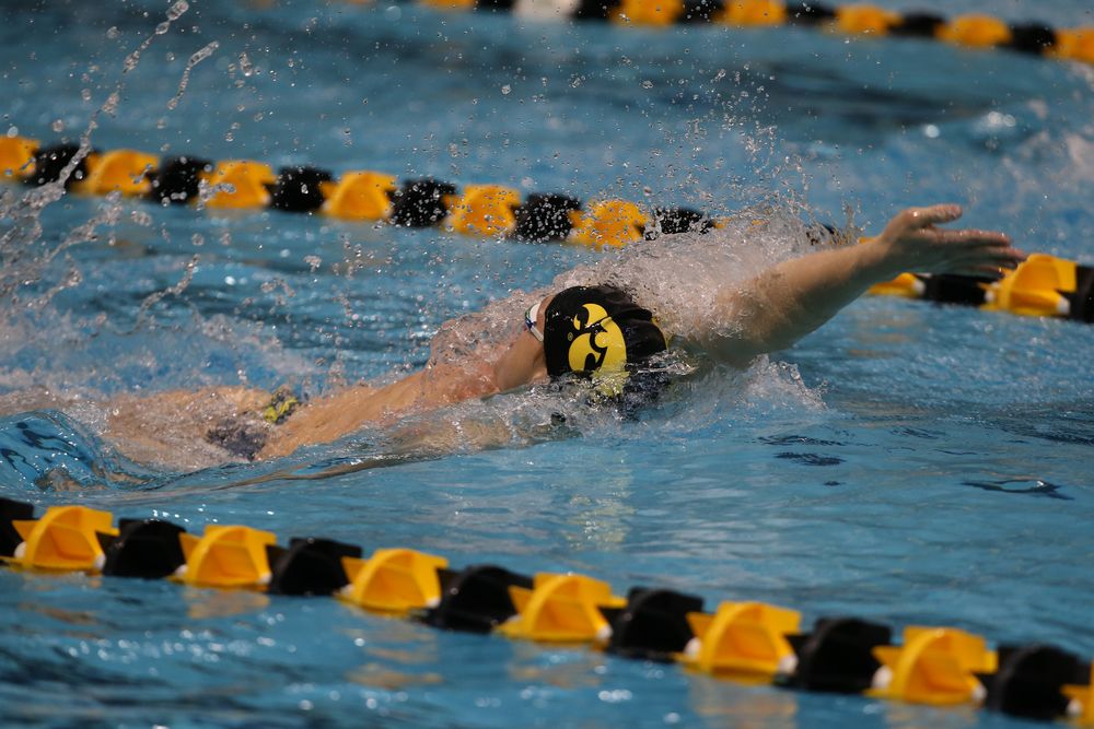 Iowa’s Ryan Purdy during Iowa swim and dive vs Minnesota on Saturday, October 26, 2019 at the Campus Wellness and Recreation Center. (Lily Smith/hawkeyesports.com)