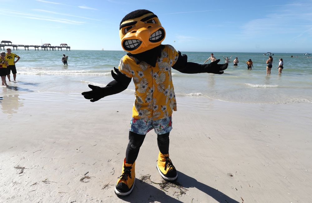 Herky The Hawk during the Outback Bowl Beach Day Sunday, December 30, 2018 at Clearwater Beach. (Brian Ray/hawkeyesports.com)