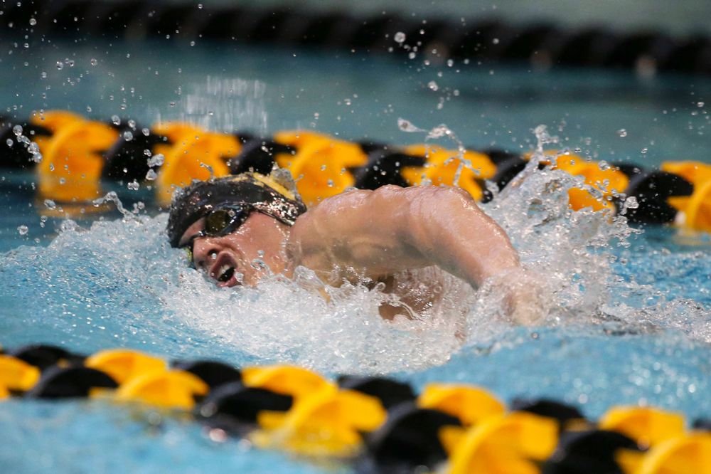 Iowa's Anze Fers Erzan team at the 200-yard backstroke race  Saturday, March 2, 2019 at the Campus Recreation and Wellness Center. (Lily Smith/hawkeyesports.com)