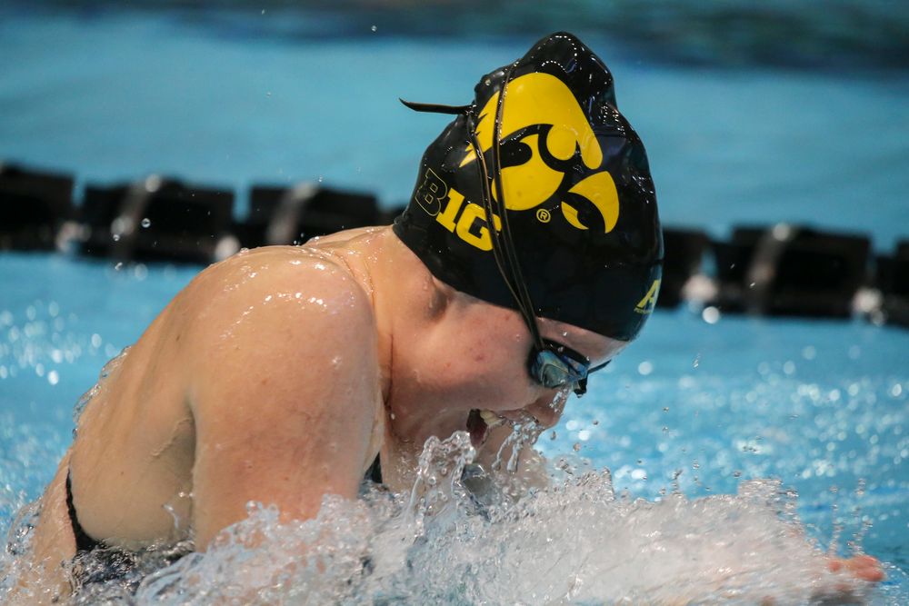 Emilia Sansome during Iowa women’s swimming and diving vs Rutgers on Friday, November 8, 2019 at the Campus Wellness and Recreation Center. (Lily Smith/hawkeyesports.com)