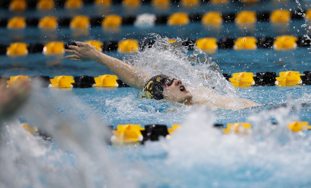 Iowa's Anze Fers Erzen competes in the 200-yard backstroke during the third day of the Hawkeye Invitational at the Campus Recreation and Wellness Center on November 17, 2018. (Tork Mason/hawkeyesports.com)