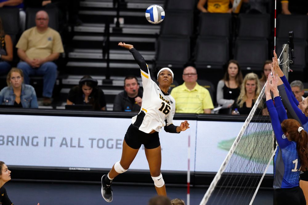 Iowa Hawkeyes outside hitter Taylor Louis (16) against Eastern Illinois Sunday, September 9, 2018 at Carver-Hawkeye Arena. (Brian Ray/hawkeyesports.com)