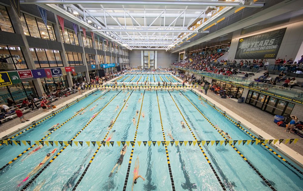 The women’s 200 yard breaststroke preliminary event during the 2020 Women’s Big Ten Swimming and Diving Championships at the Campus Recreation and Wellness Center in Iowa City on Saturday, February 22, 2020. (Stephen Mally/hawkeyesports.com)