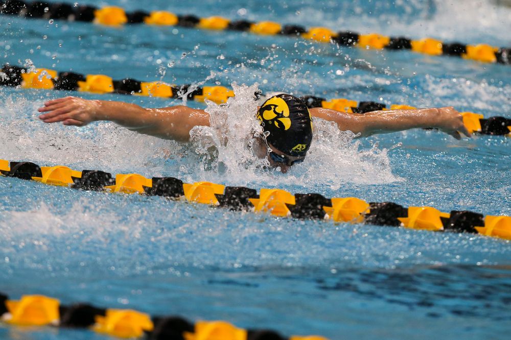 Iowa’s Michael Tenney during Iowa swim and dive vs Minnesota on Saturday, October 26, 2019 at the Campus Wellness and Recreation Center. (Lily Smith/hawkeyesports.com)