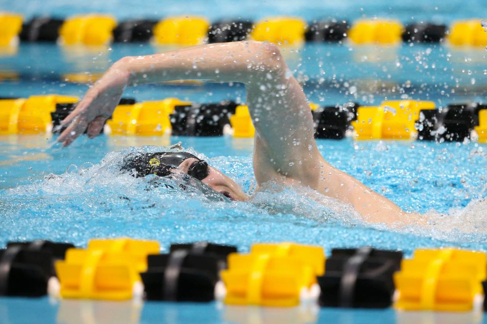 Iowa's B team at the 1,650-yard freestyle race  Saturday, March 2, 2019 at the Campus Recreation and Wellness Center. (Lily Smith/hawkeyesports.com)