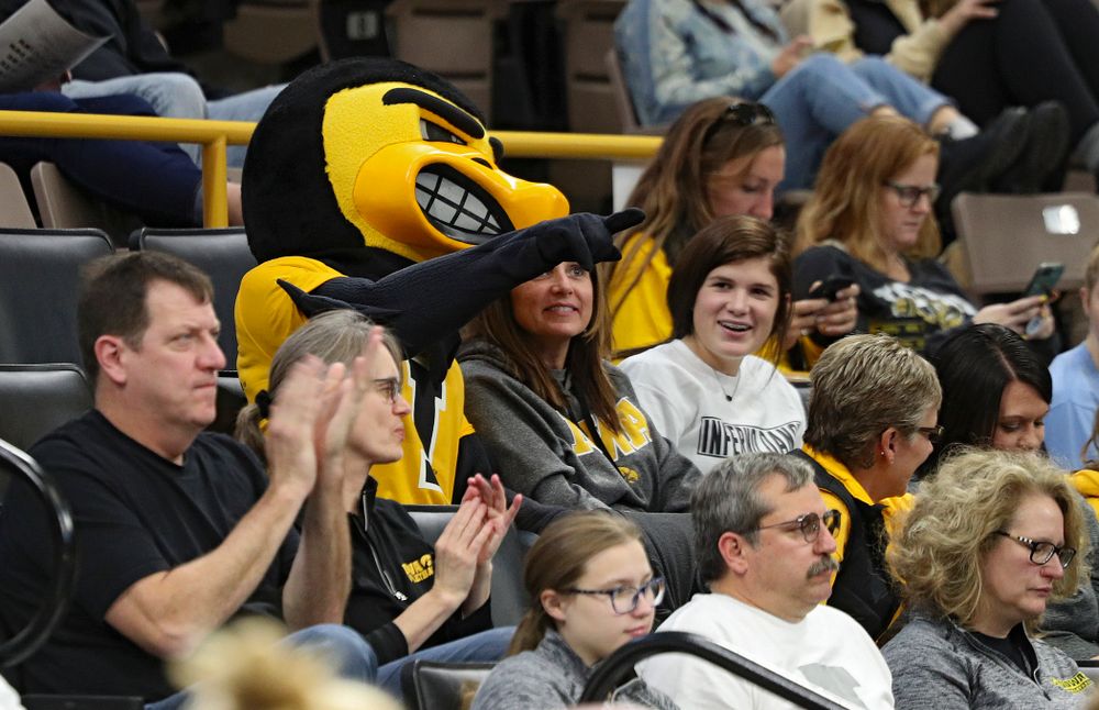 Herky sits with some fans during the second set of their volleyball match at Carver-Hawkeye Arena in Iowa City on Sunday, Oct 13, 2019. (Stephen Mally/hawkeyesports.com)