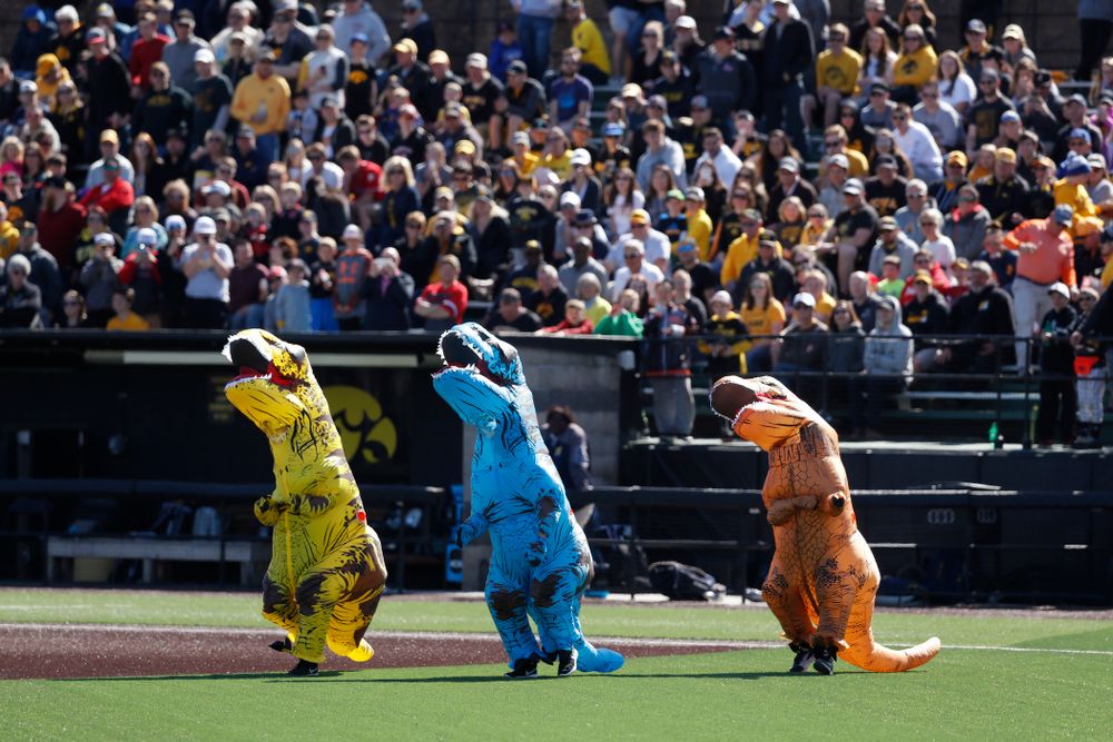 The dinosaur race as the Iowa Hawkeyes face off against Michigan Saturday, April 28, 2018 at Duane Banks Field (Brian Ray/hawkeyesports.com)