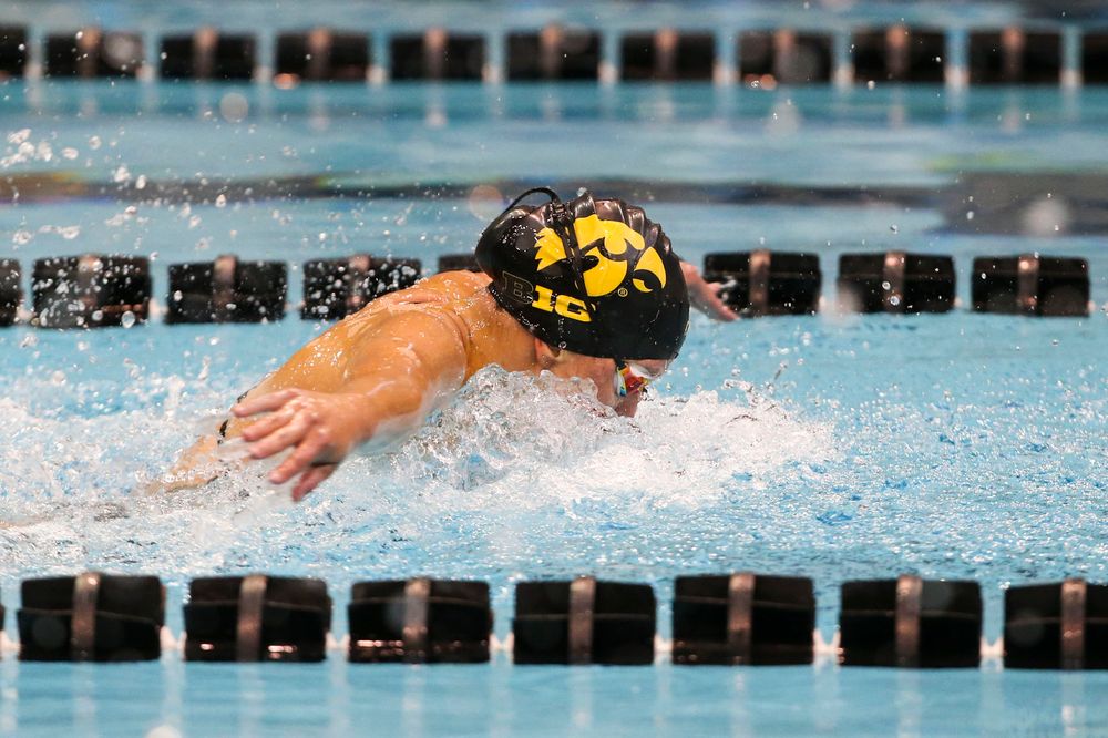 Iowa’s Christina Kaufman during Iowa swim and dive vs Minnesota on Saturday, October 26, 2019 at the Campus Wellness and Recreation Center. (Lily Smith/hawkeyesports.com)