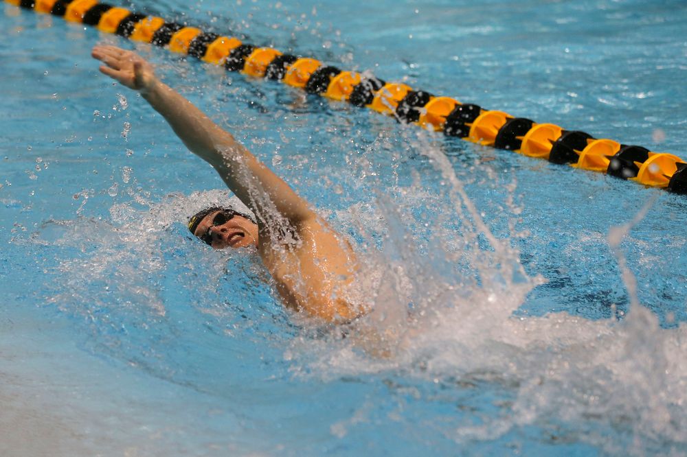 Iowa’s Thomas Pederson during Iowa swim and dive vs Minnesota on Saturday, October 26, 2019 at the Campus Wellness and Recreation Center. (Lily Smith/hawkeyesports.com)