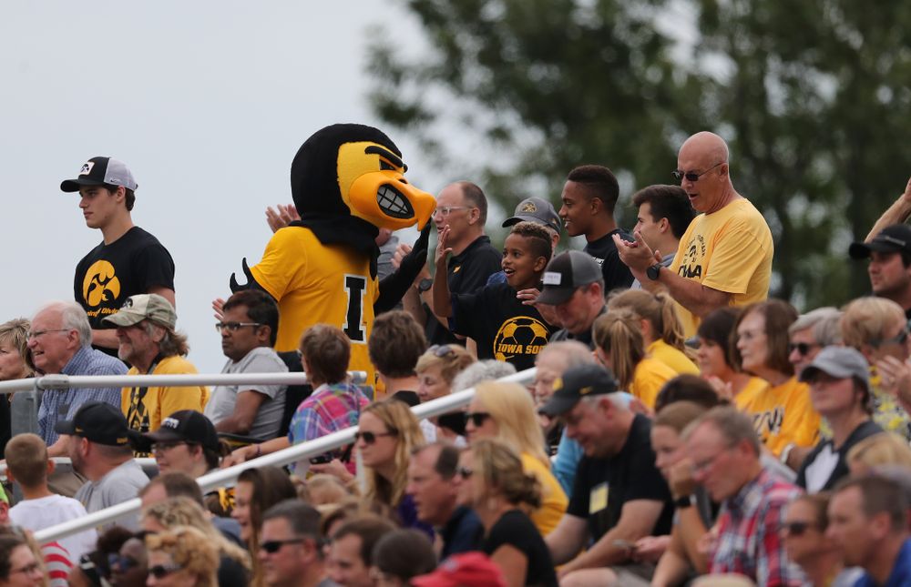 Herky the Hawk during a 6-1 win over Northern Iowa Sunday, August 25, 2019 at the Iowa Soccer Complex. (Brian Ray/hawkeyesports.com)