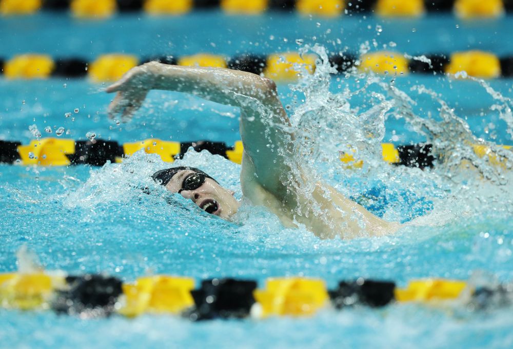 Iowa's Ben Colin swims the 500 yard freestyle Thursday, November 15, 2018 during the 2018 Hawkeye Invitational at the Campus Recreation and Wellness Center. (Brian Ray/hawkeyesports.com)