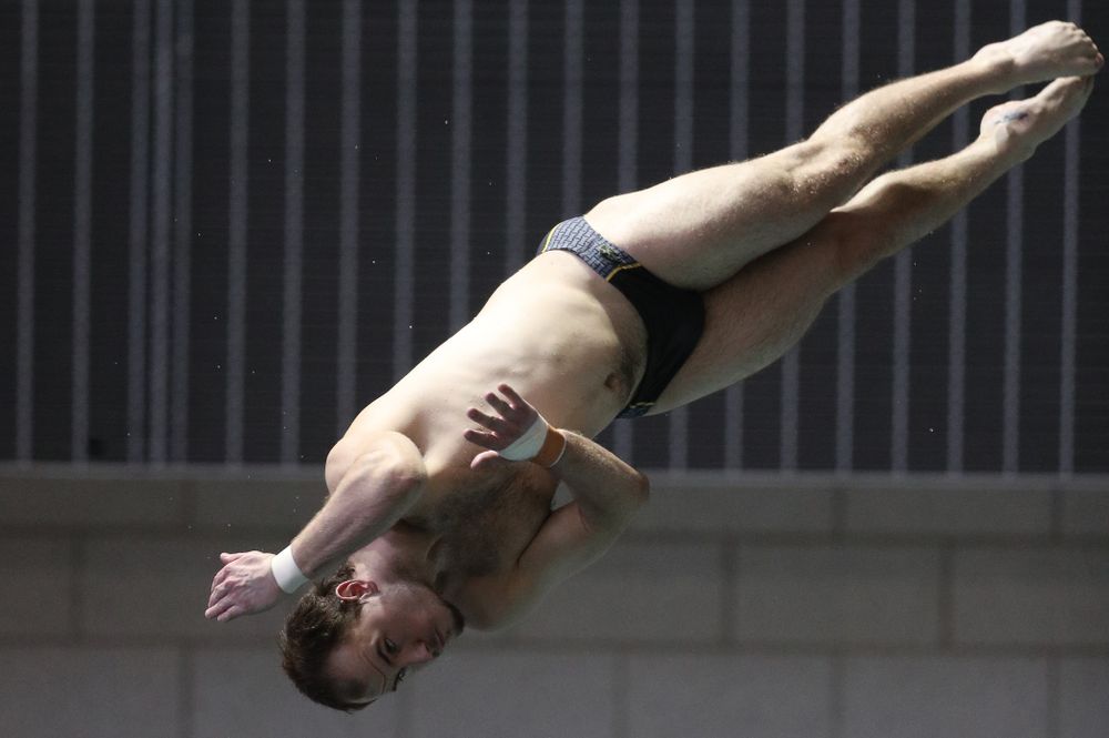 Iowa's Anton Hoherz competes on the 3-meter springboard during the third day of the 2019 Big Ten Swimming and Diving Championships Thursday, February 28, 2019 at the Campus Wellness and Recreation Center. (Brian Ray/hawkeyesports.com)