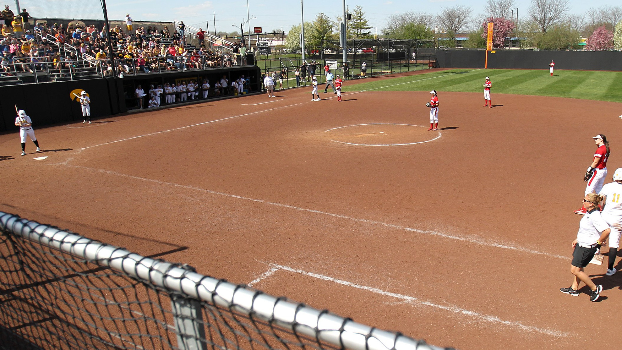 Softball Announces Walk-On Tryouts for UI Students - Iowa Hawkeyes ...