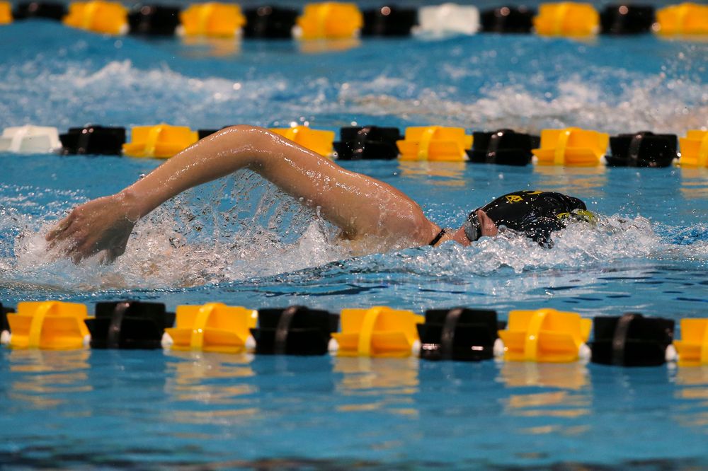 Iowa’s Allyssa Fluit during Iowa swim and dive vs Minnesota on Saturday, October 26, 2019 at the Campus Wellness and Recreation Center. (Lily Smith/hawkeyesports.com)