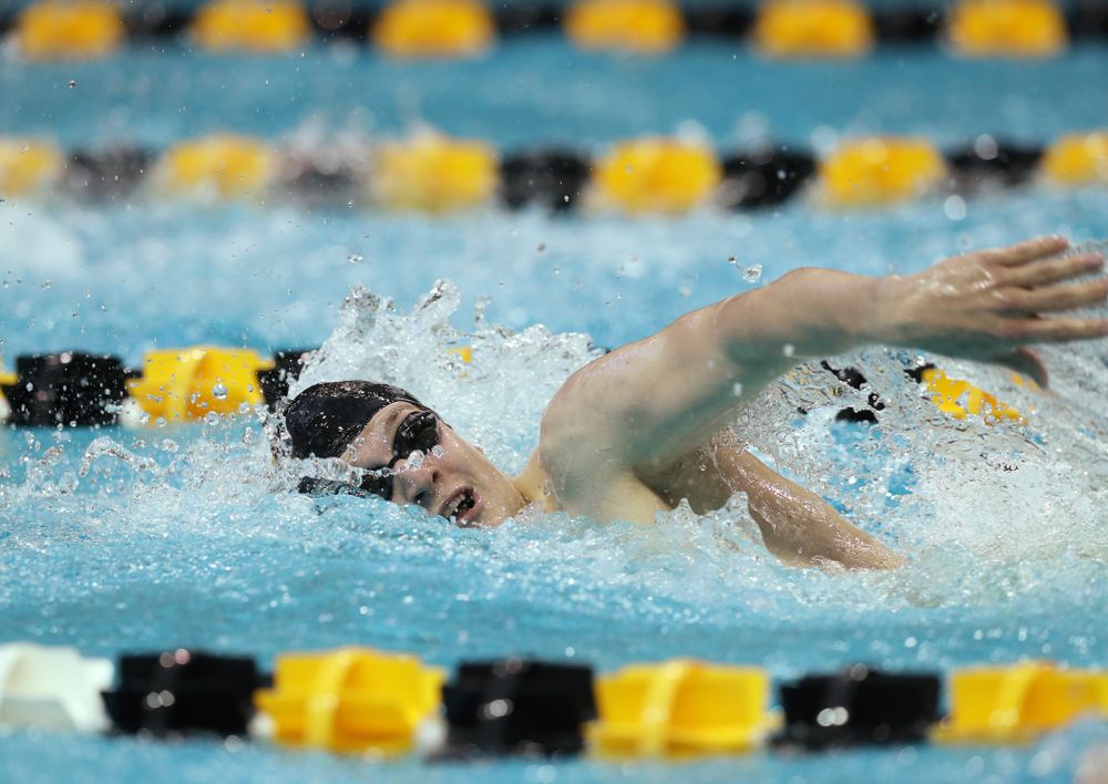 Iowa's Ben Colin swims the 500 yard freestyle Thursday, November 15, 2018 during the 2018 Hawkeye Invitational at the Campus Recreation and Wellness Center. (Brian Ray/hawkeyesports.com)