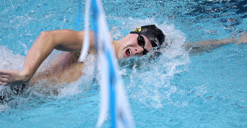 Iowa's Forrest White swims in the preliminaries of the 500-yard freestyle during the 2019 Big Ten Swimming and Diving Championships Thursday, February 28, 2019 at the Campus Wellness and Recreation Center. (Brian Ray/hawkeyesports.com)