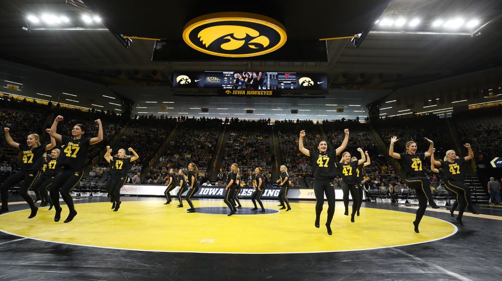 The Iowa Dance Team performs at the intermission of the Iowa Hawkeyes match against Purdue Saturday, November 24, 2018 at Carver-Hawkeye Arena. (Brian Ray/hawkeyesports.com)
