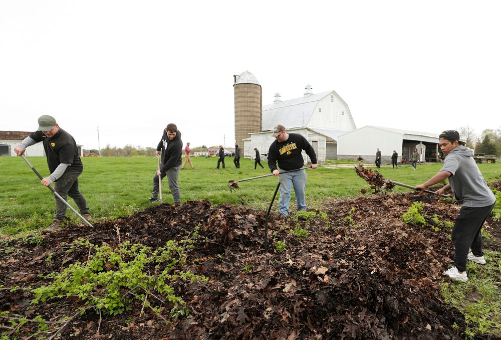 Iowa wrestlers work in the field for Grow: Johnson County at the Johnson County Historic Poor Farm during the 21st annual ISAAC Hawkeye Day of Caring in Iowa City on Sunday, Apr. 28, 2019. (Stephen Mally/hawkeyesports.com)