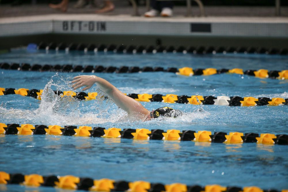 Iowa’s Erin Lang swims the 500-yard freestyle during the Iowa swimming and diving meet vs Notre Dame and Illinois on Saturday, January 11, 2020 at the Campus Recreation and Wellness Center. (Lily Smith/hawkeyesports.com)