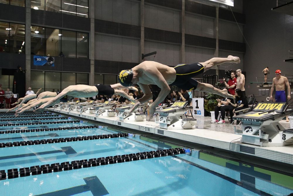 Iowa's William Scott swims the 50-yard freestyle during the bonus final of the second day at the 2019 Big Ten Swimming and Diving Championships Thursday, February 28, 2019 at the Campus Wellness and Recreation Center. (Brian Ray/hawkeyesports.com)