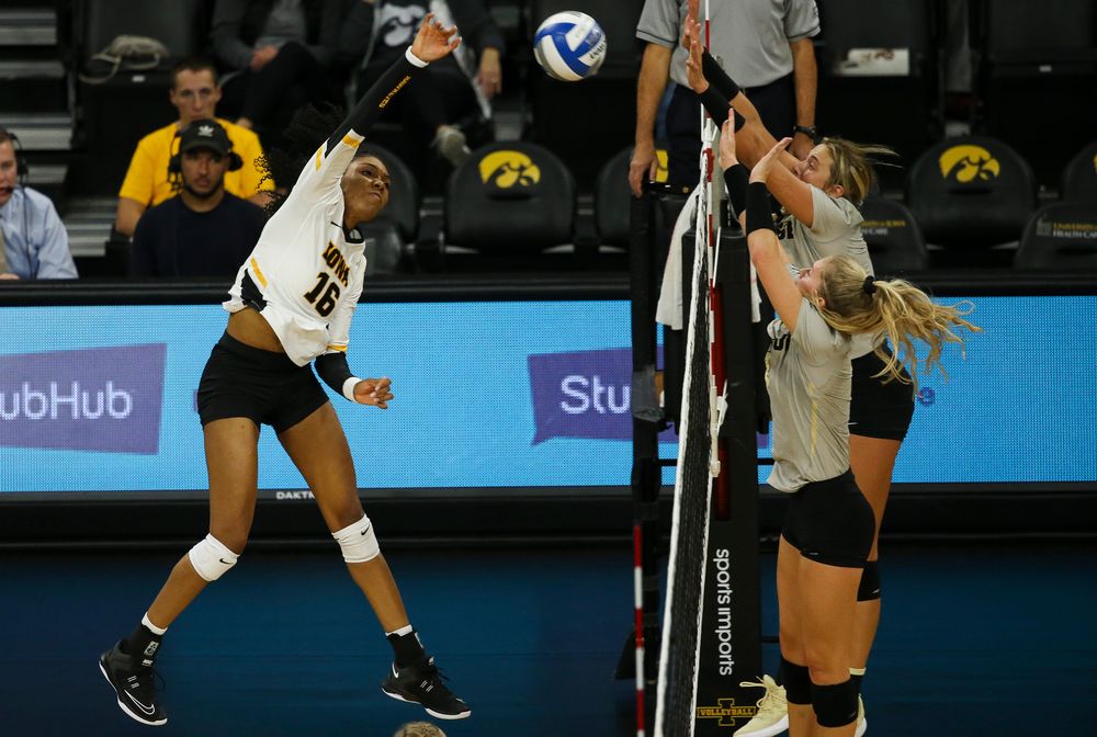 Iowa Hawkeyes outside hitter Taylor Louis (16) spikes the ball during a game against Purdue at Carver-Hawkeye Arena on October 13, 2018. (Tork Mason/hawkeyesports.com)