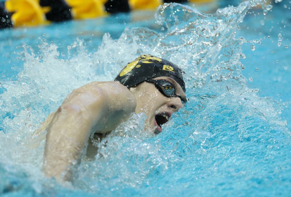 Iowa's Jackson Allmon swims the 500 yard freestyle Thursday, November 15, 2018 during the 2018 Hawkeye Invitational at the Campus Recreation and Wellness Center. (Brian Ray/hawkeyesports.com)