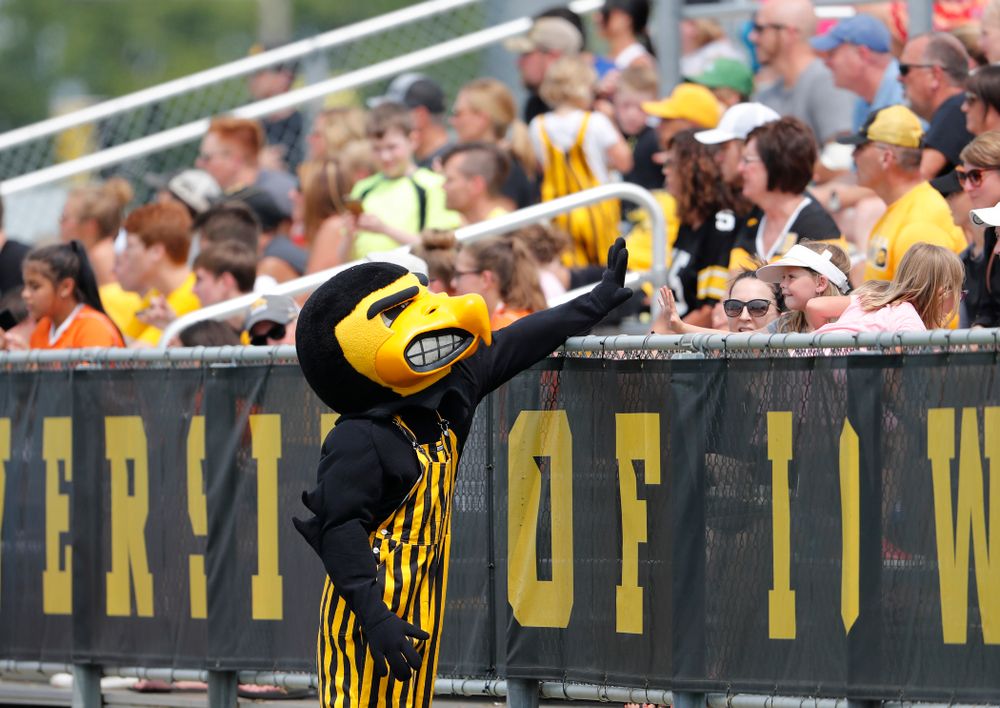 Herky the Hawk against the Creighton Bluejays  Sunday, August 19, 2018 at the Iowa Soccer Complex. (Brian Ray/hawkeyesports.com)