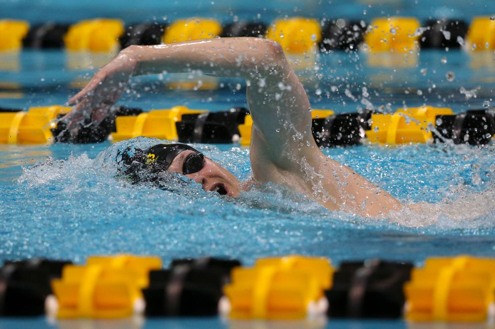 Iowa's B team at the 1,650-yard freestyle race  Saturday, March 2, 2019 at the Campus Recreation and Wellness Center. (Lily Smith/hawkeyesports.com)