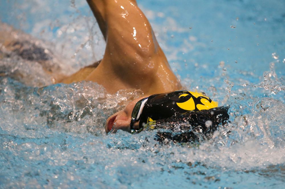 Iowa’s Andrew Fierke during Iowa swim and dive vs Minnesota on Saturday, October 26, 2019 at the Campus Wellness and Recreation Center. (Lily Smith/hawkeyesports.com)