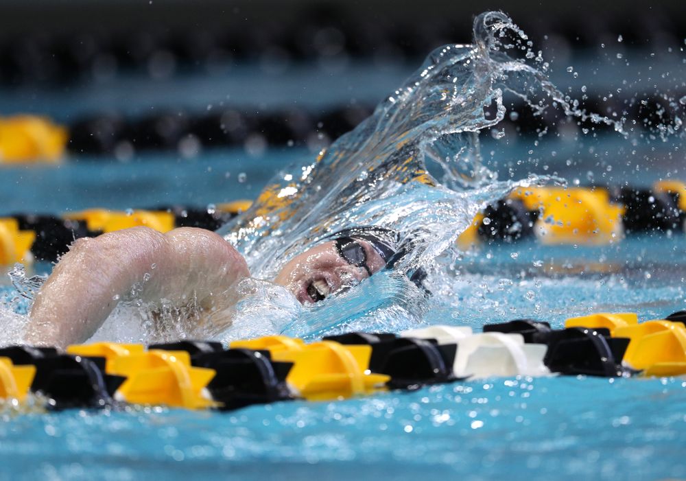 Iowa's Mateusz Arndt swims in the preliminaries of the 500-yard freestyle during the 2019 Big Ten Swimming and Diving Championships Thursday, February 28, 2019 at the Campus Wellness and Recreation Center. (Brian Ray/hawkeyesports.com)
