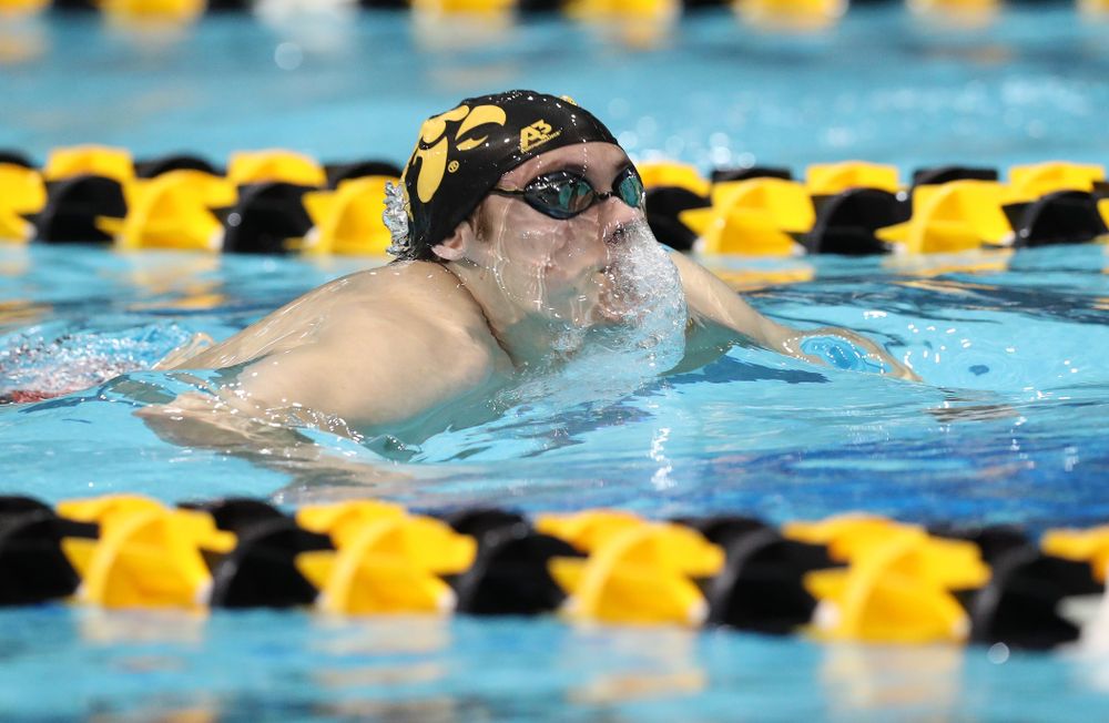 Iowa's Daniel Swanepoel swims the breaststroke leg of the 200 medley relay at the 2019 Big Ten Swimming and Diving meet  Wednesday, February 27, 2019 at the Campus Wellness and Recreation Center. (Brian Ray/hawkeyesports.com)