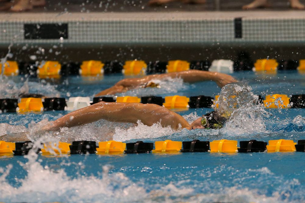 Iowa’s Andrew Fierke during Iowa swim and dive vs Minnesota on Saturday, October 26, 2019 at the Campus Wellness and Recreation Center. (Lily Smith/hawkeyesports.com)