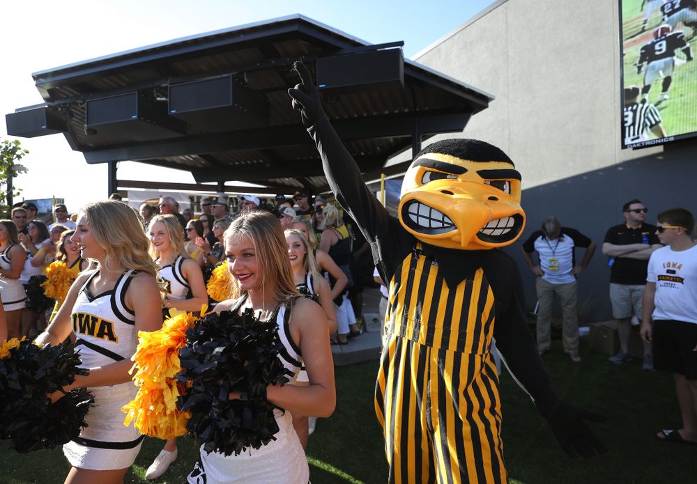 Herky The Hawk during the Hawkeye Huddle Monday, December 31, 2018 at Sparkman Wharf in Tampa, FL. (Brian Ray/hawkeyesports.com)