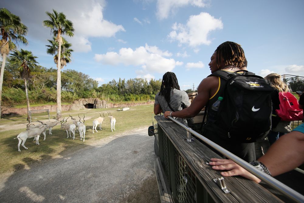 Iowa Hawkeyes wide receiver Brandon Smith (12) rides out to feed the giraffes during an Outback Bowl team event Saturday, December 29, 2018 at Busch Gardens in Tampa, FL. (Brian Ray/hawkeyesports.com)