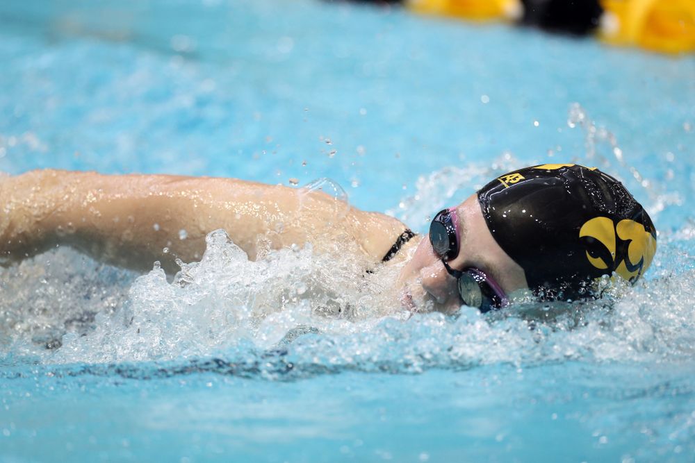 IowaÕs Alley Thomas swims the 1,000 yard freestyle agains the Michigan Wolverines Friday, November 1, 2019 at the Campus Recreation and Wellness Center. (Brian Ray/hawkeyesports.com)