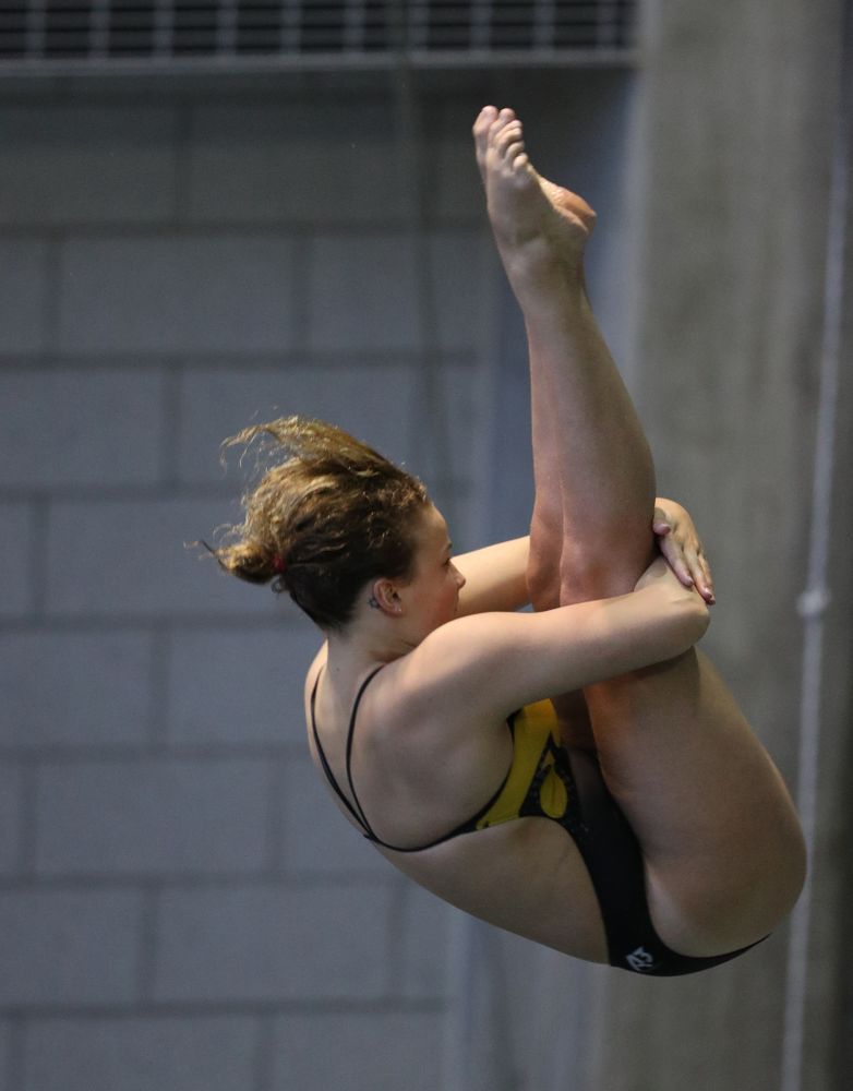 Iowa's Claire Park competes on the 3 meter springboard during a double dual against Wisconsin and Northwestern Saturday, January 19, 2019 at the Campus Recreation and Wellness Center. (Brian Ray/hawkeyesports.com)