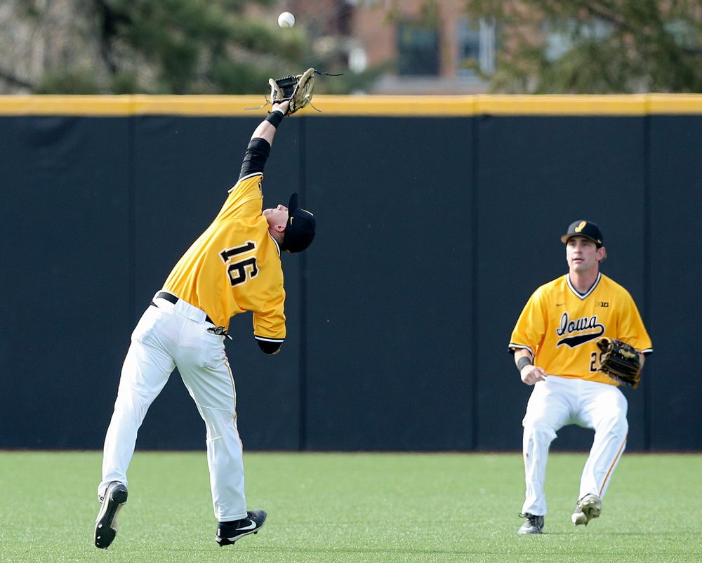 Iowa Hawkeyes shortstop Tanner Wetrich (16) pulls in a fly ball as left fielder Chris Whelan (28) looks on during the third inning of their game against Northern Illinois at Duane Banks Field in Iowa City on Tuesday, Apr. 16, 2019. (Stephen Mally/hawkeyesports.com)