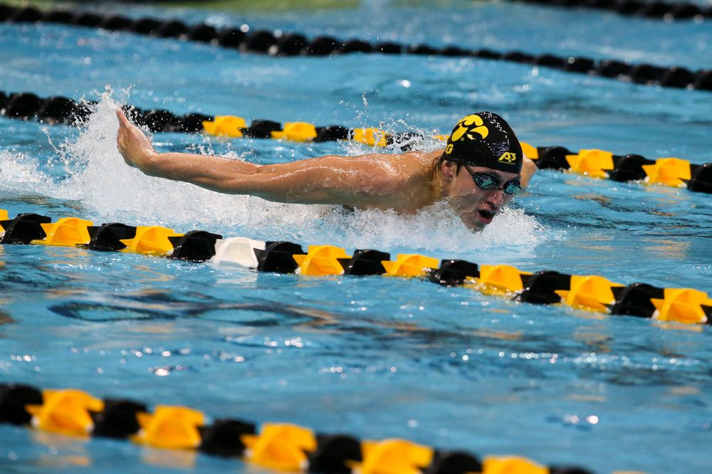 Iowa’s Michael Tenney during Iowa swim and dive vs Minnesota on Saturday, October 26, 2019 at the Campus Wellness and Recreation Center. (Lily Smith/hawkeyesports.com)