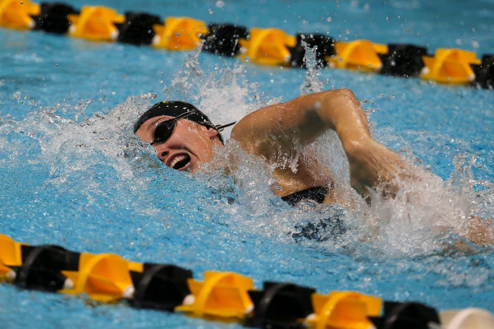 Iowa’s Samantha Sauer during Iowa swim and dive vs Minnesota on Saturday, October 26, 2019 at the Campus Wellness and Recreation Center. (Lily Smith/hawkeyesports.com)