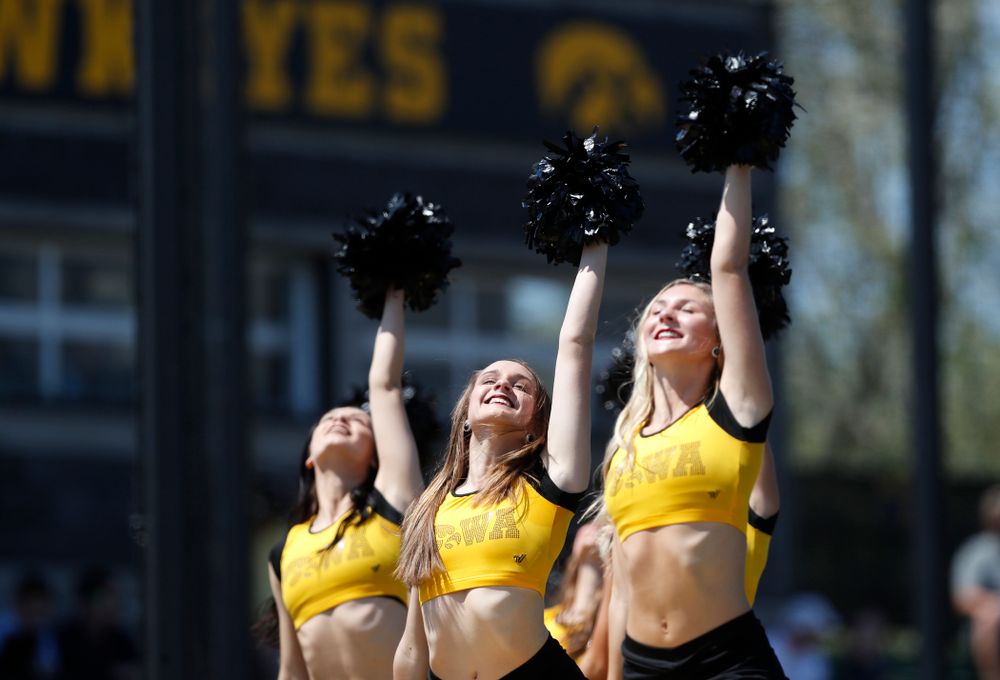 The Iowa Dance Team performs during the Iowa Hawkeyes game against the Oklahoma State Cowboys Sunday, May 6, 2018 at Duane Banks Field. (Brian Ray/hawkeyesports.com)