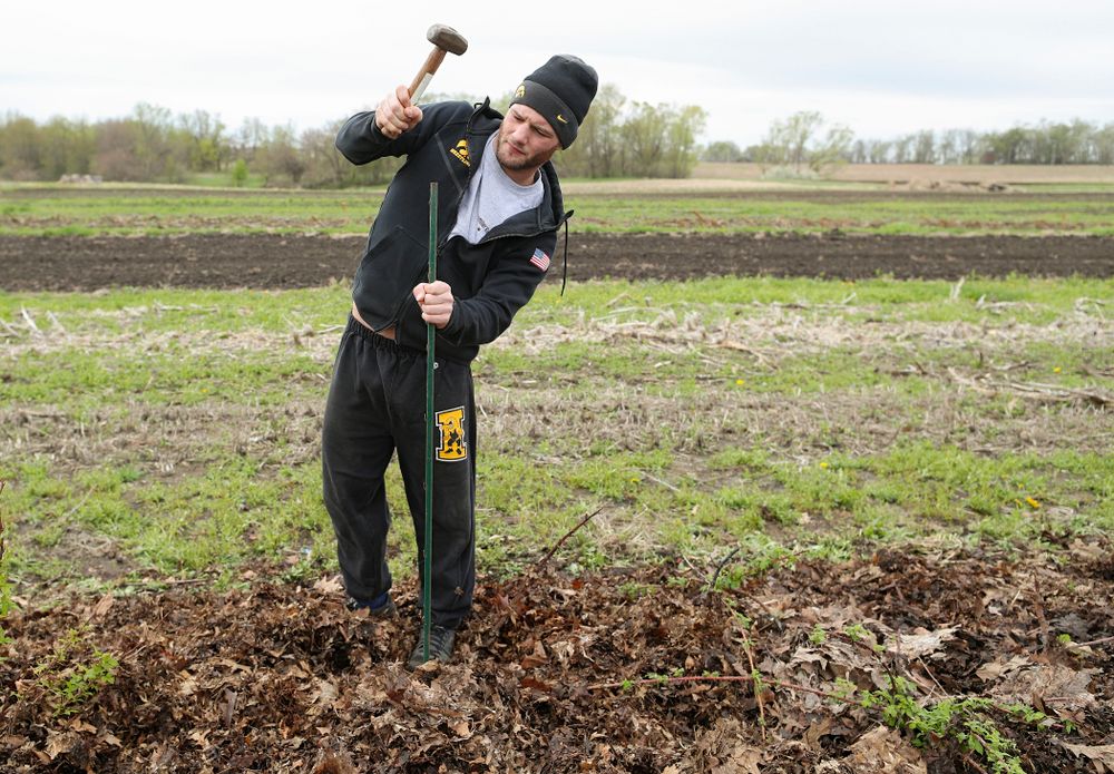 Iowa wrestlers work in the field for Grow: Johnson County at the Johnson County Historic Poor Farm during the 21st annual ISAAC Hawkeye Day of Caring in Iowa City on Sunday, Apr. 28, 2019. (Stephen Mally/hawkeyesports.com)