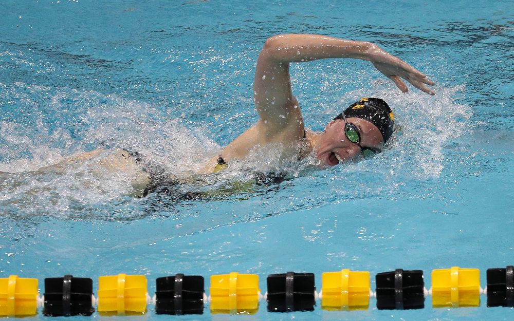 Iowa's Allyssa Fluit competes in the 500-yard freestyle during a meet against Michigan and Denver at the Campus Recreation and Wellness Center on November 3, 2018. (Tork Mason/hawkeyesports.com)